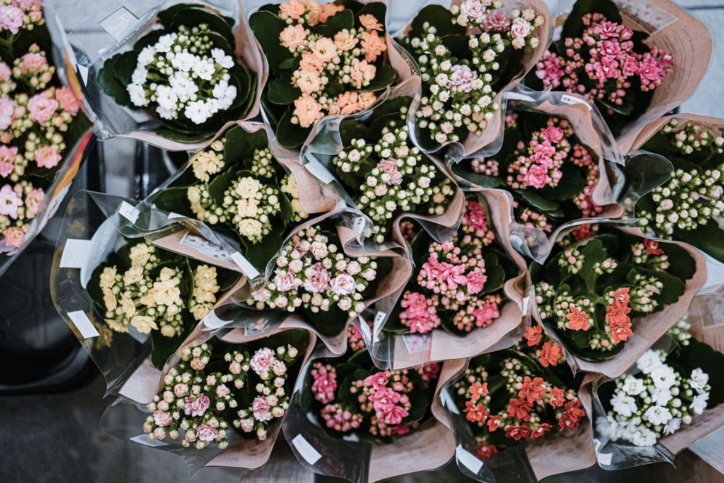 Řezané květiny v prodejně Holandské květiny