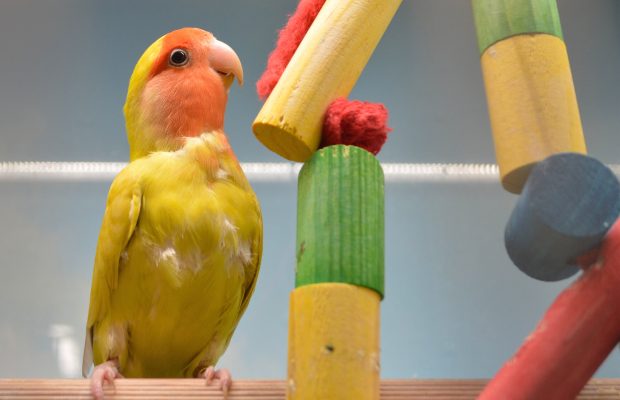 Super ZOO prodejna v Central Kladno